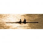 Shrewsbury rowing