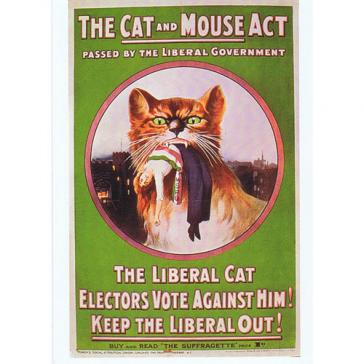 Cat and Mouse Act ML17