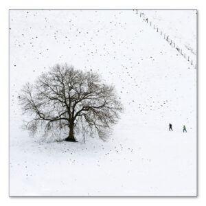 Walkers in the snow SBCC17