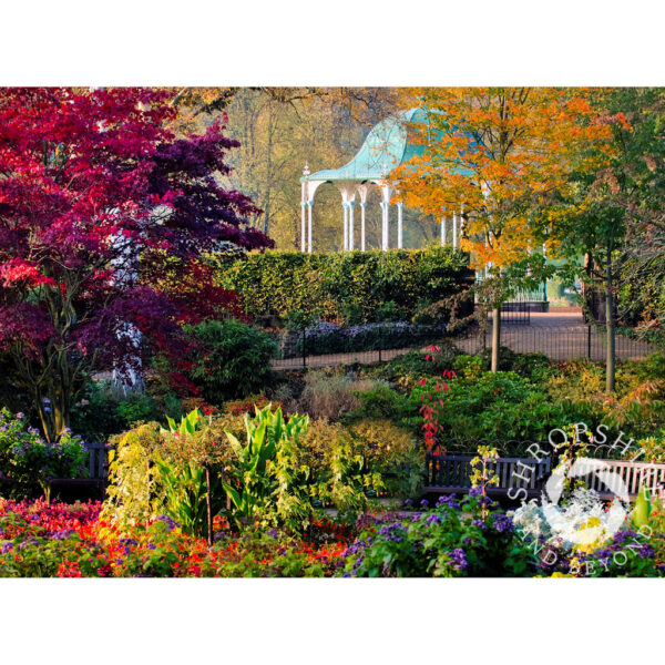 The Dingle, Shrewsbury, Shropshire in Autumn