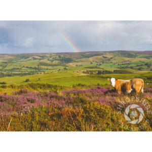 SBF107 Long Mynd from Stiperstones