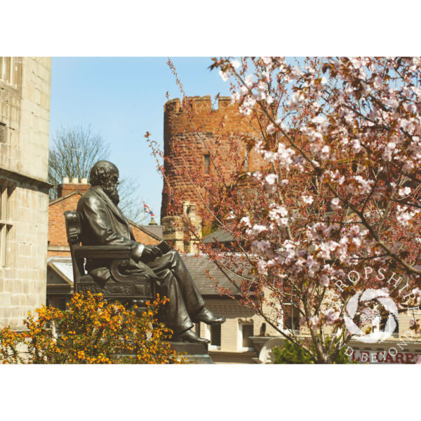 Charles Darwin statue outside Shrewsbury library, Shropshire, England.