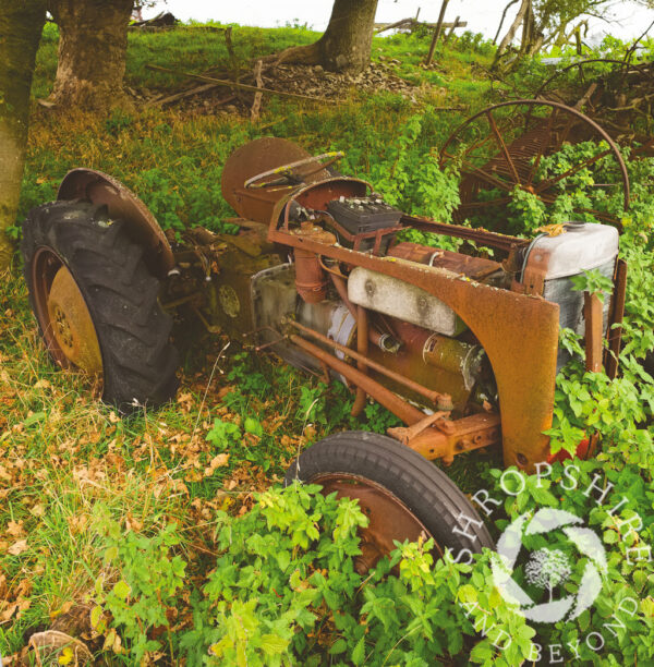 Abandoned tractor in a field above Snailbeach, Shropshire. Abandoned tractor SC25
