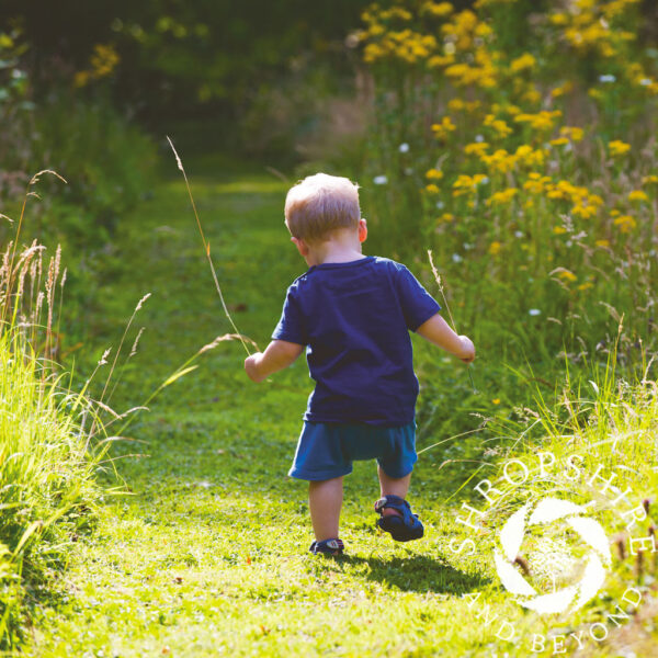 Childhood walk - A toddler goes exploring in a Shropshire garden. Childhood walk SC26