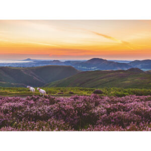 Dawn on Long Mynd