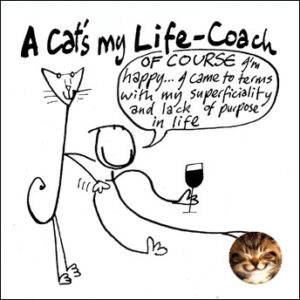 A cat's my life coach