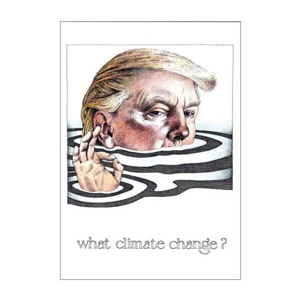 What Climate Change? Political Greeting Card