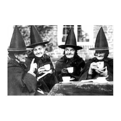 Witches Coven Postcard