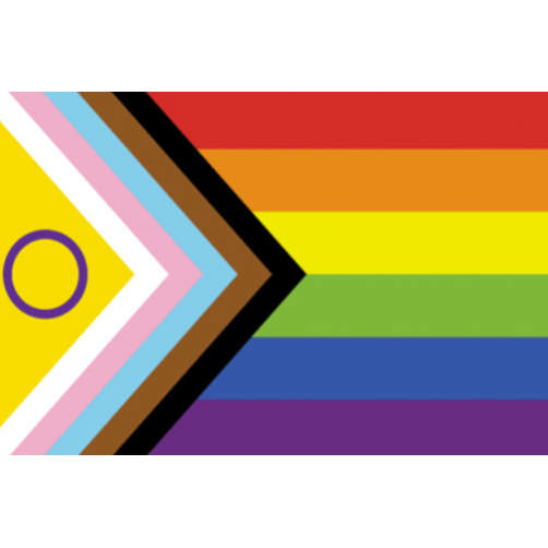Rainbow Pride Flag Postcard